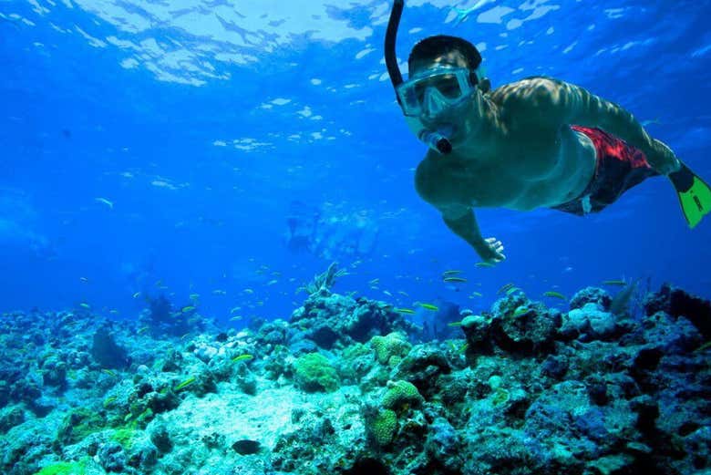 Praticando snorkel em Comino